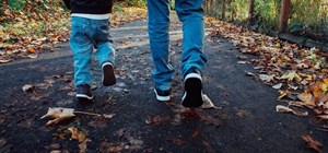 Patterns of Contact and Involvement between Adolescents and their Non-resident Fathers 